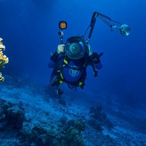 2019 03 11 23.09.16hamata uw18 10 dsc7093