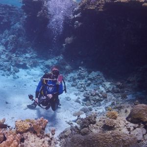 2019 03 11 23.09.17hamata uw18 10 dsc7198