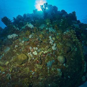 2019 03 11 23.09.18hamata uw18 10 dsc7583