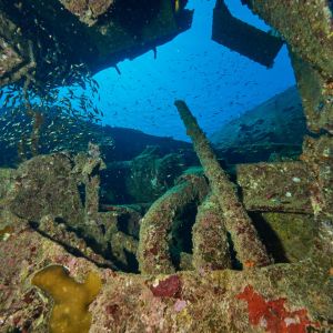 2019 03 11 23.09.18hamata uw18 10 dsc7588