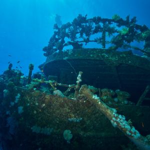 2019 03 11 23.09.18hamata uw18 10 dsc7674