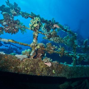 2019 03 11 23.09.18hamata uw18 10 dsc7676